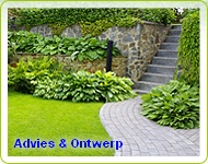 Advies & Ontwerp